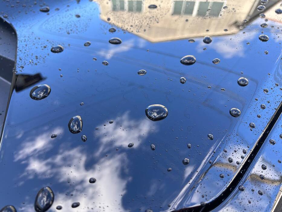 画像253