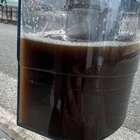 画像254