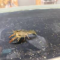 画像411