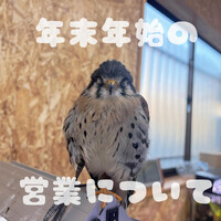 画像466