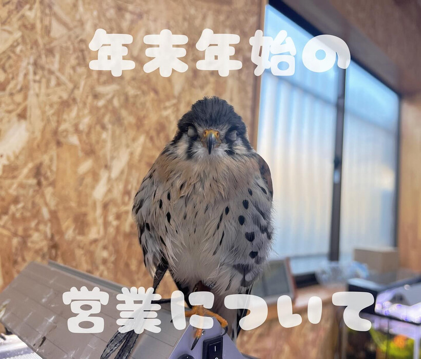 画像466