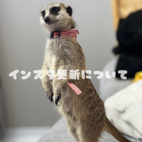 画像535