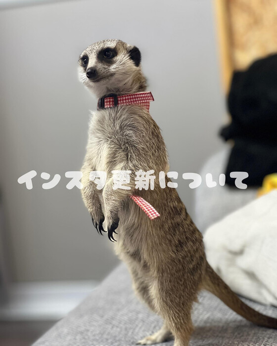 画像535