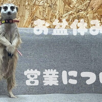 画像648