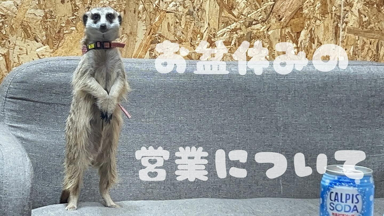 画像648